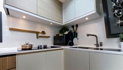 The Poiz Residences (D13), Apartment #556036721